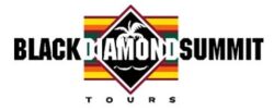 bds tours logo